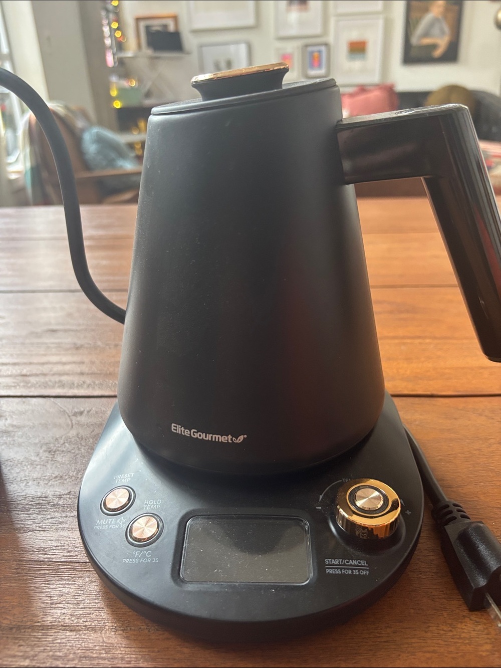 Black Electric Gooseneck Kettle - Precision Pouring